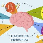 Como Usar o Marketing Sensorial para Engajar Consumidores